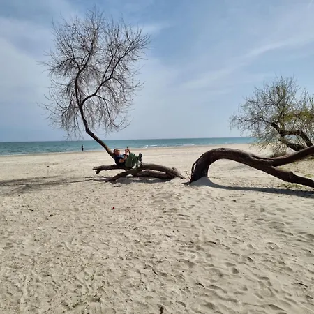 M&d Sara Apartamento *