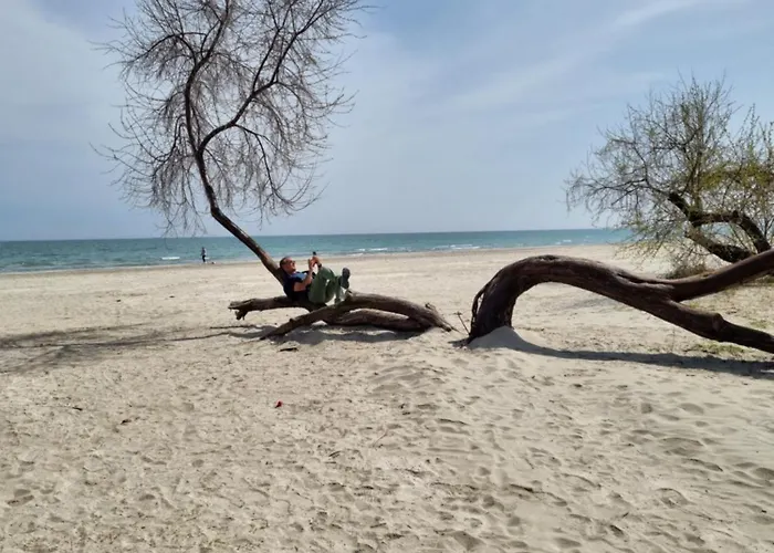 M&d Sara Appartement *